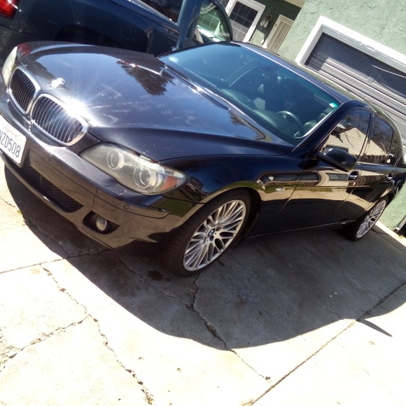 Meet your Posher, Malik - Picture 1 of 1